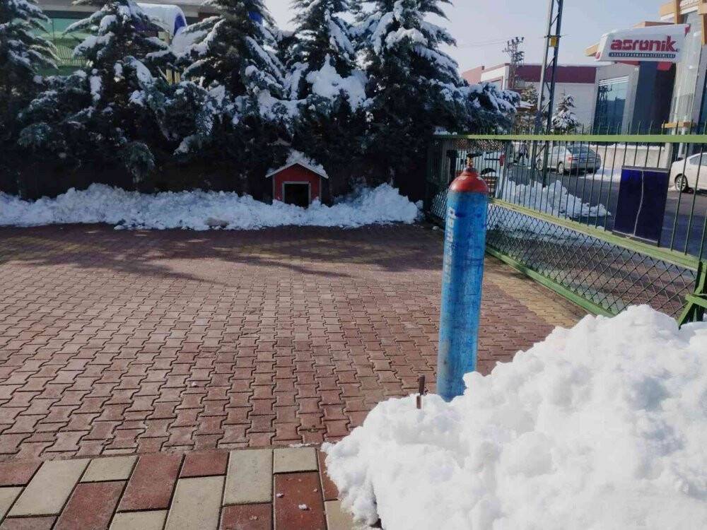 Bahçedeki kangal köpeği hırsızlığı güvenlik kamerasında