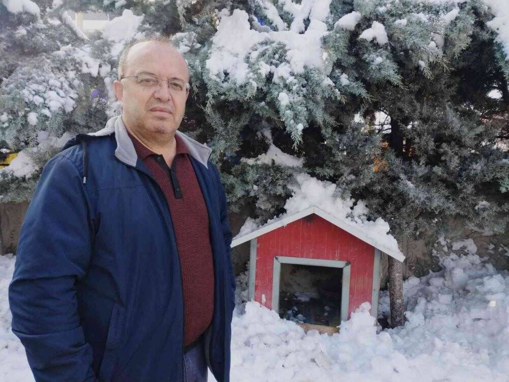 Bahçedeki kangal köpeği hırsızlığı güvenlik kamerasında