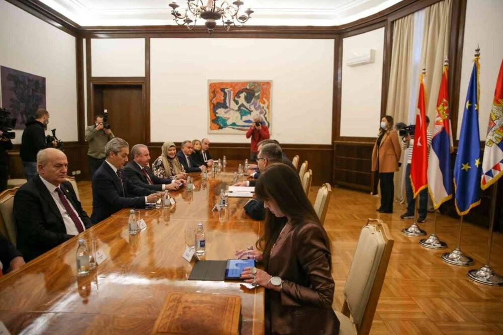 TBMM Başkanı Şentop, Sırbistan Cumhurbaşkanı Vuçiç ile görüştü