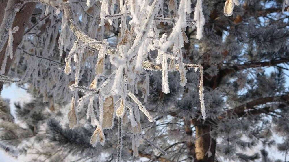 Ardahan buz tuttu, hava sıcaklığı eksi 24 dereceye düştü