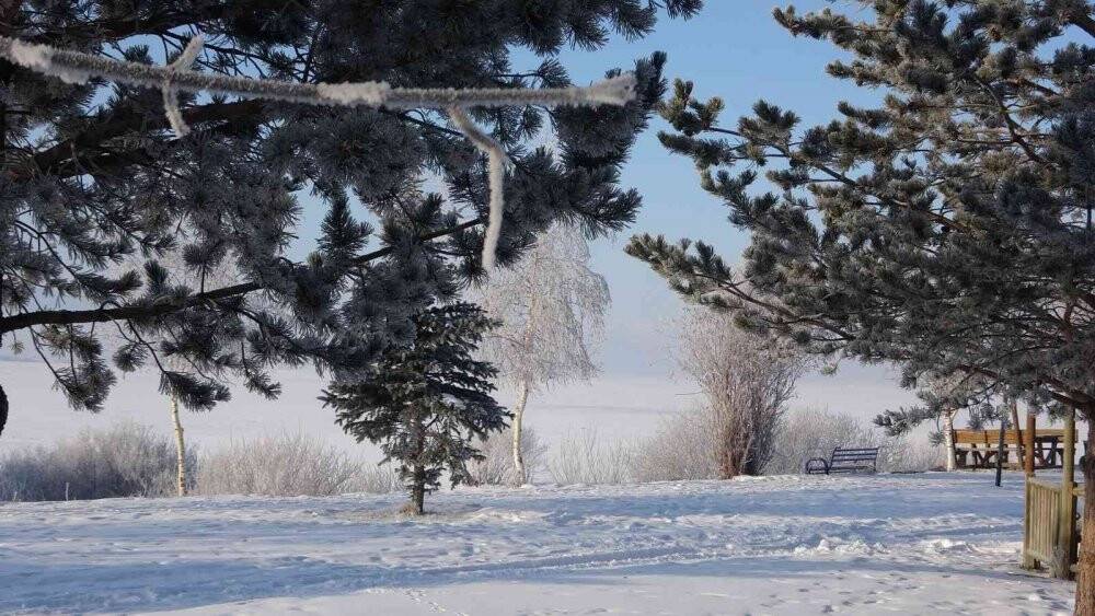 Ardahan buz tuttu, hava sıcaklığı eksi 24 dereceye düştü