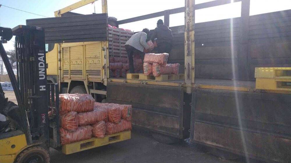 Depolardaki havuç, eksi 15 derecede sevkiyata hazırlanıyor