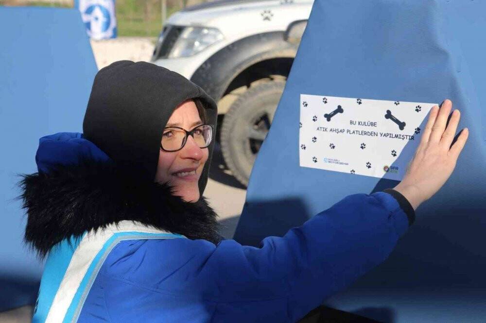 Sokak hayvanları için atık paletlerden kulübe yapıyorlar