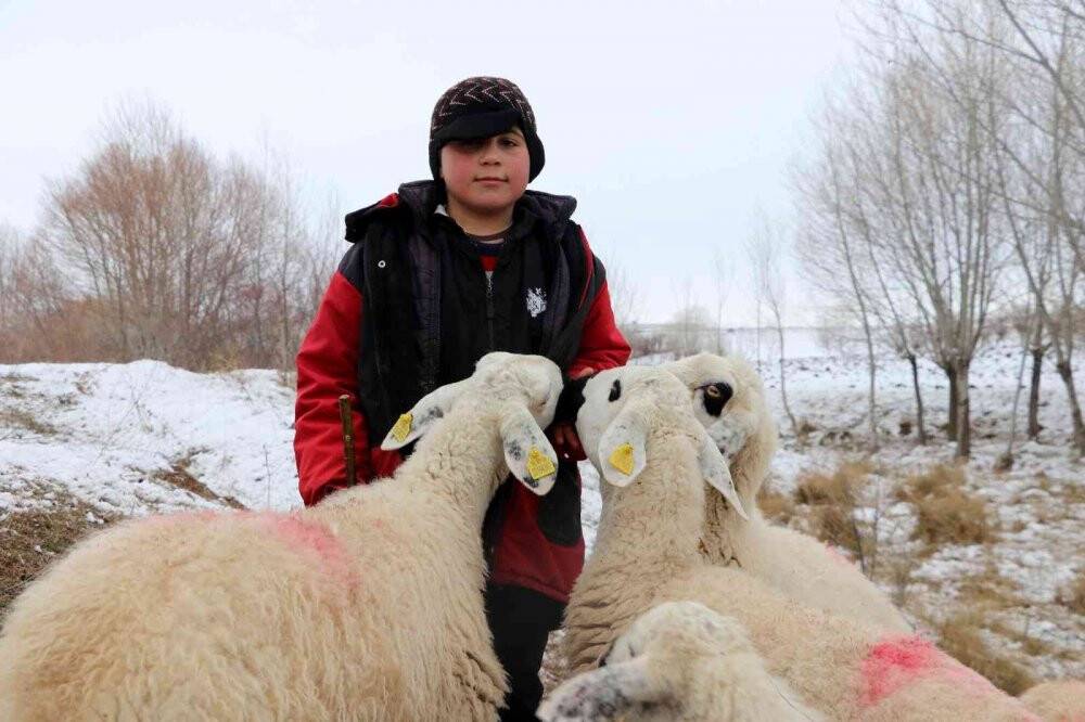 11 yaşındaki çoban dondurucu soğukta sürü güdüyor