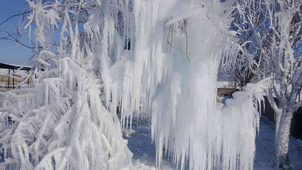 Çeşme borusu patladı söğüt ağacı buz ağaca döndü