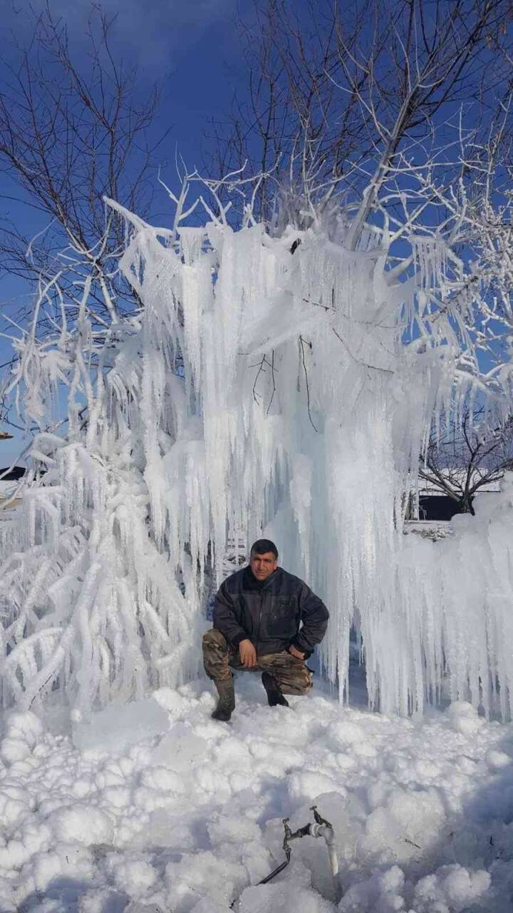 Çeşme borusu patladı söğüt ağacı buz ağaca döndü