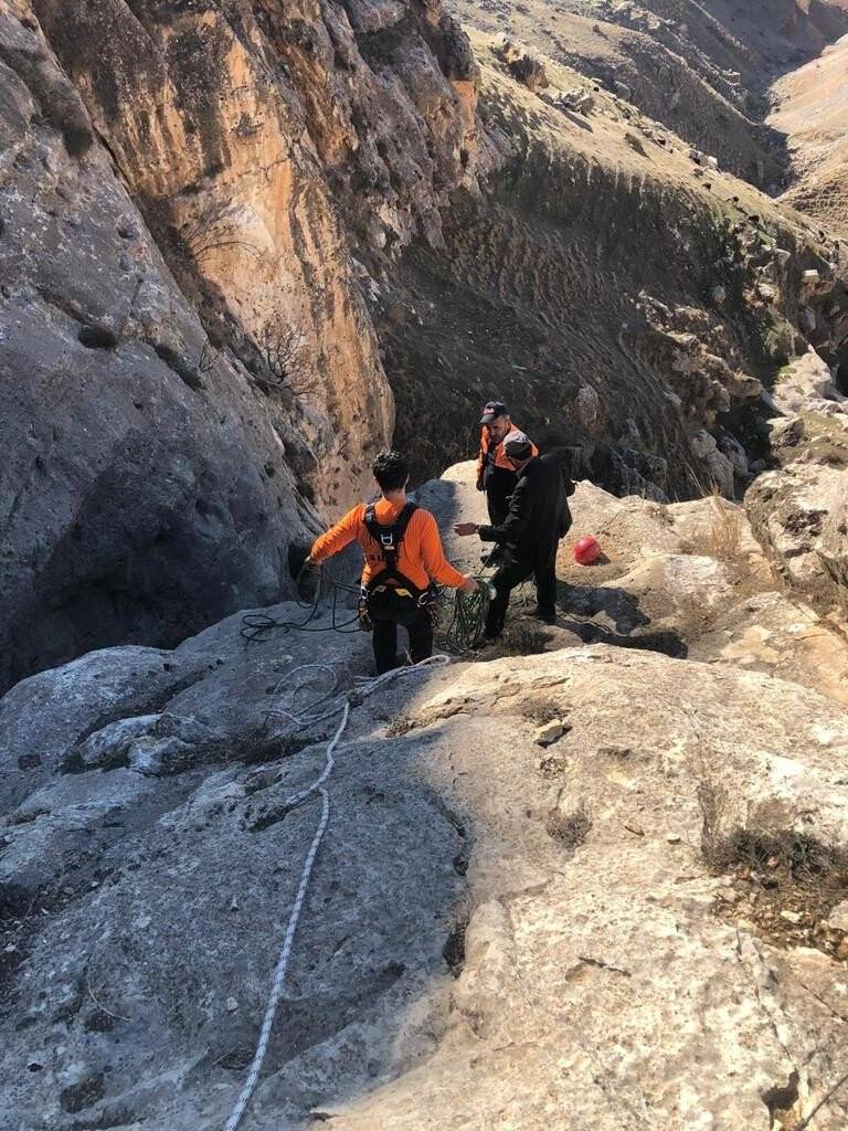 Siirt’te kayalıklarda mahsur kalan keçiler AFAD tarafından kurtarıldı