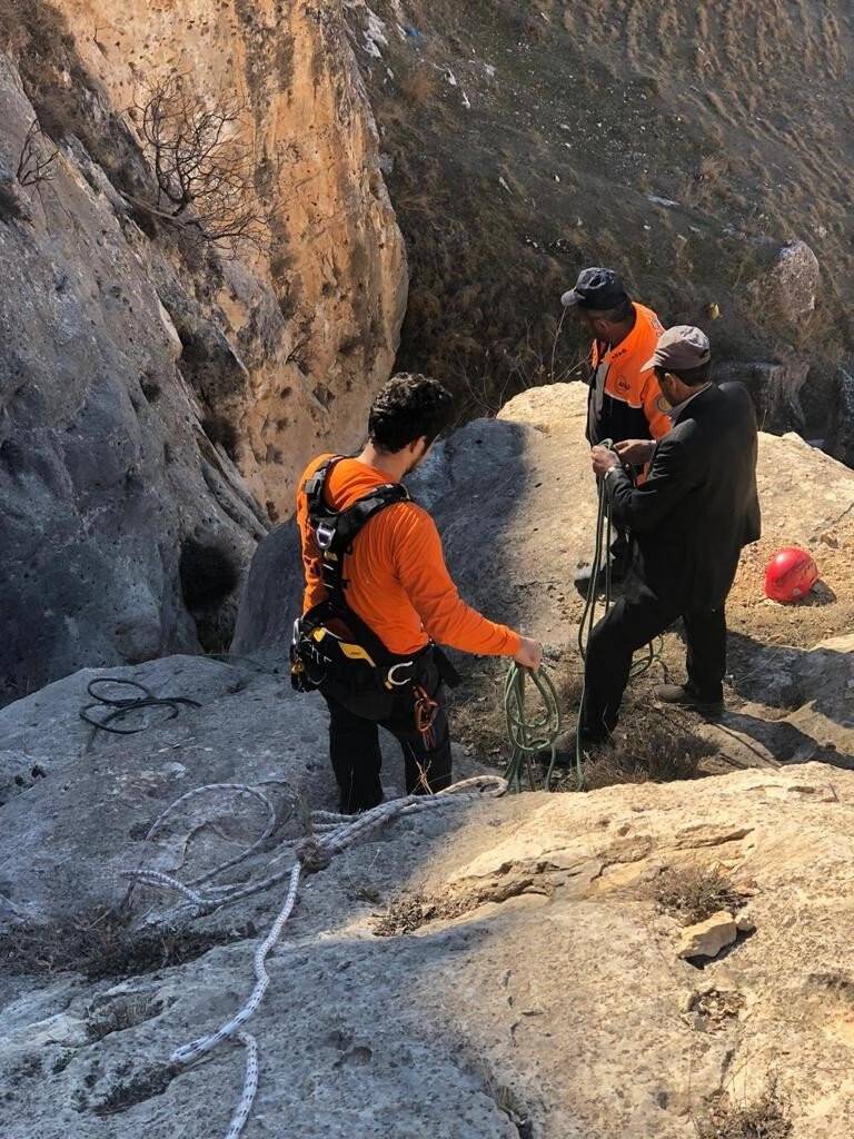 Siirt’te kayalıklarda mahsur kalan keçiler AFAD tarafından kurtarıldı
