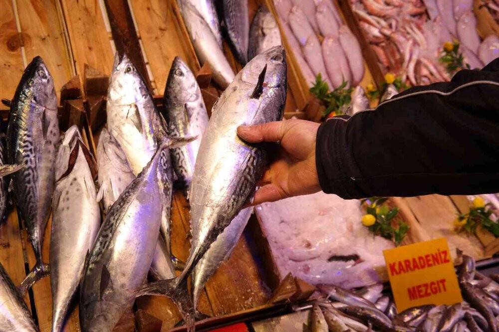 İstanbullu balıkçılar denize dönünce fiyatlar normale döndü
