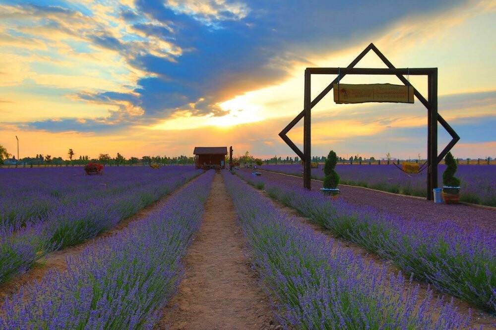 Karatay Belediyesinden ilçeye 2021’de 213 bin 162 fidan ve bitki