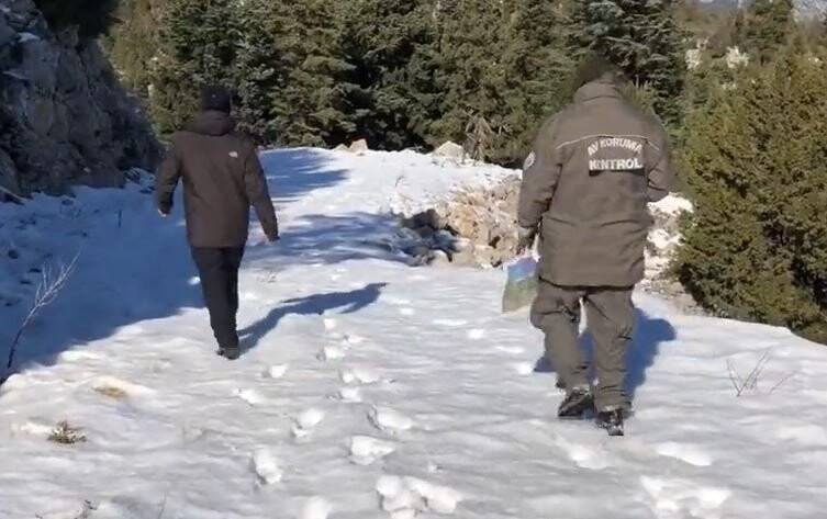 Yaban hayvanlarının yaşam alanlarına yem bırakıldı