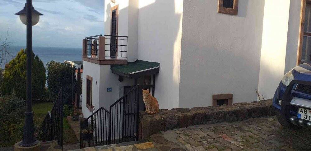 Bodrum’da yabancı uyruklu çıkan yangında hayatını kaybetti