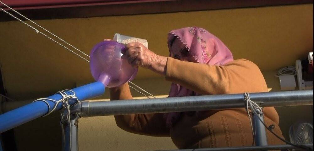 88'lik nine tavuklarını kümese gitmeden yemliyor