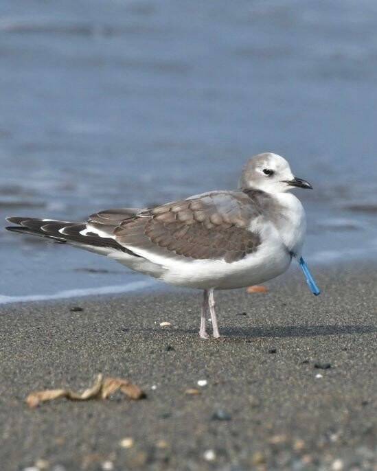 Herkes fotoğrafını çekmek için koştu