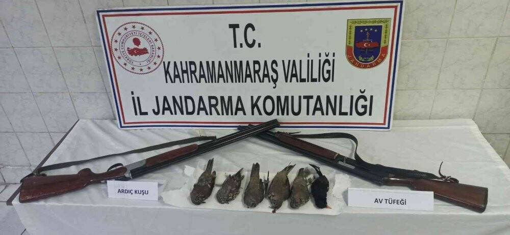 Ardıç kuşunu vuran 3 kişiye 18 bin 550 lira ceza