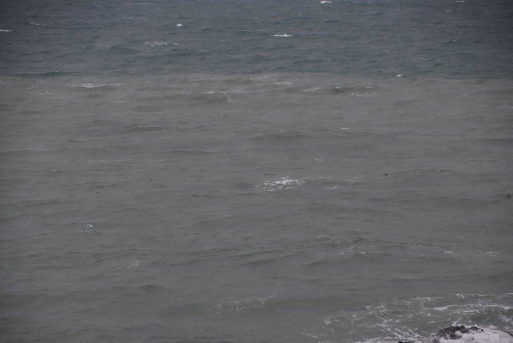 Karadeniz çamura büründü