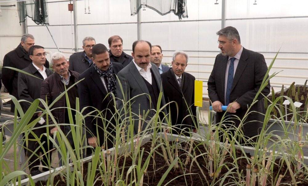 Başkan Altay: Jeotermal Ar-Ge serasında alternatif ürün yetiştiriyoruz