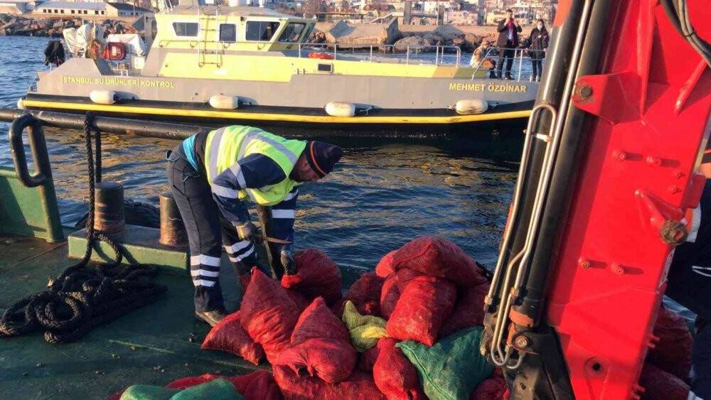 Bayrampaşa Hali’nde 5 ton kaçak midye ele geçirildi: Canlı midyeler denize bırakıldı