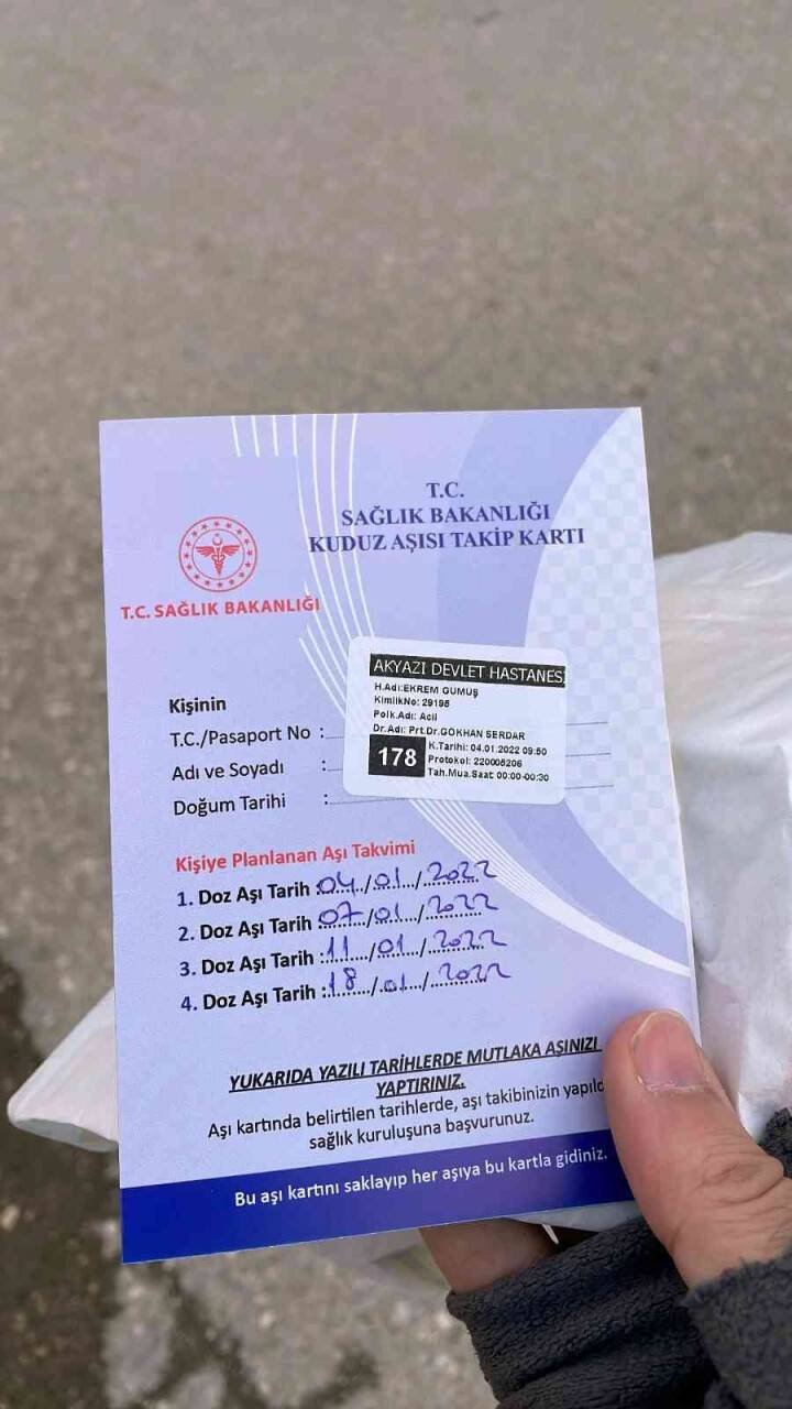 İşe giderken 4  köpeğin saldırısına uğradı