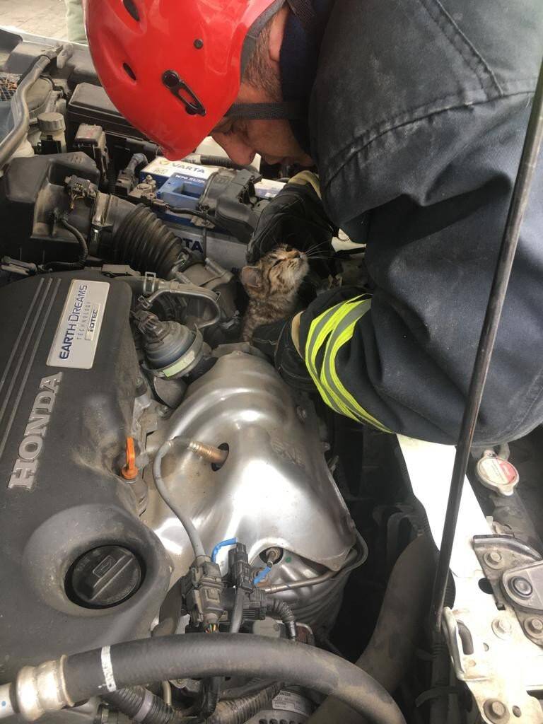 Konya itfaiyesi 2021’de 10 binin üzerinde olaya müdahale etti