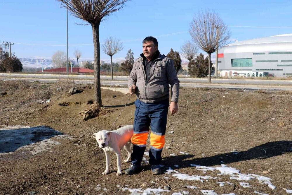 Yasaklı ırk köpeklerini kendi elleriyle teslim ettiler