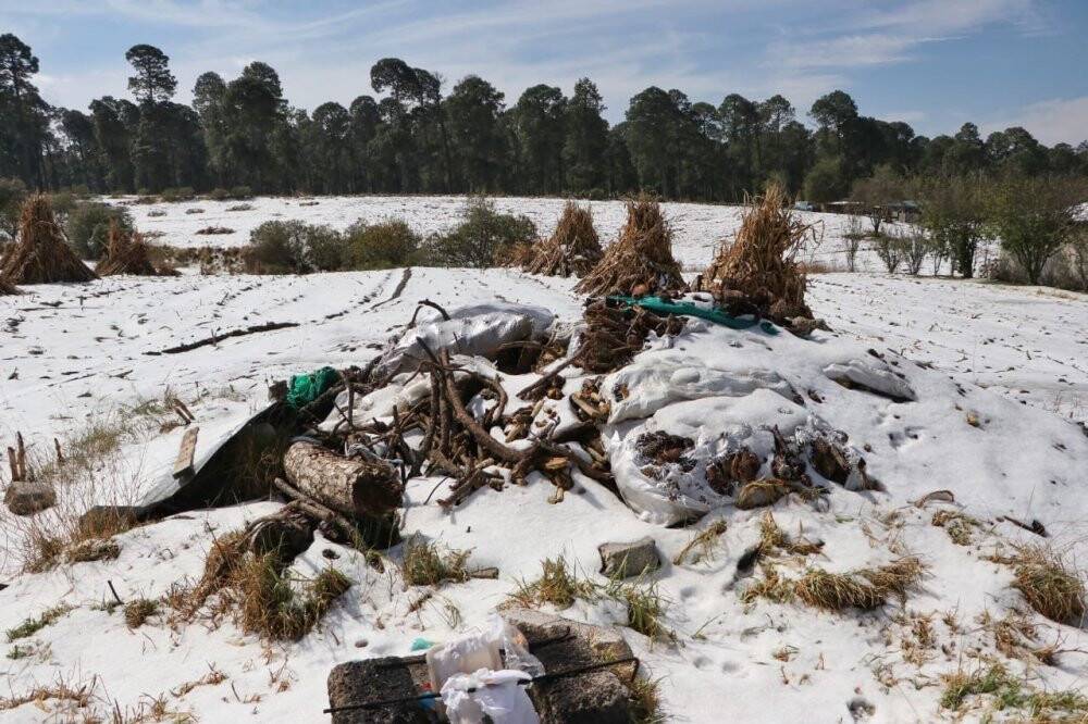Meksika’nın Tlachichuca şehrine tarihte ilk kez kar yağdı
