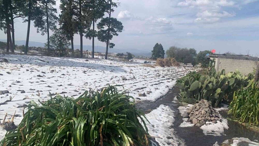 Meksika’nın Tlachichuca şehrine tarihte ilk kez kar yağdı