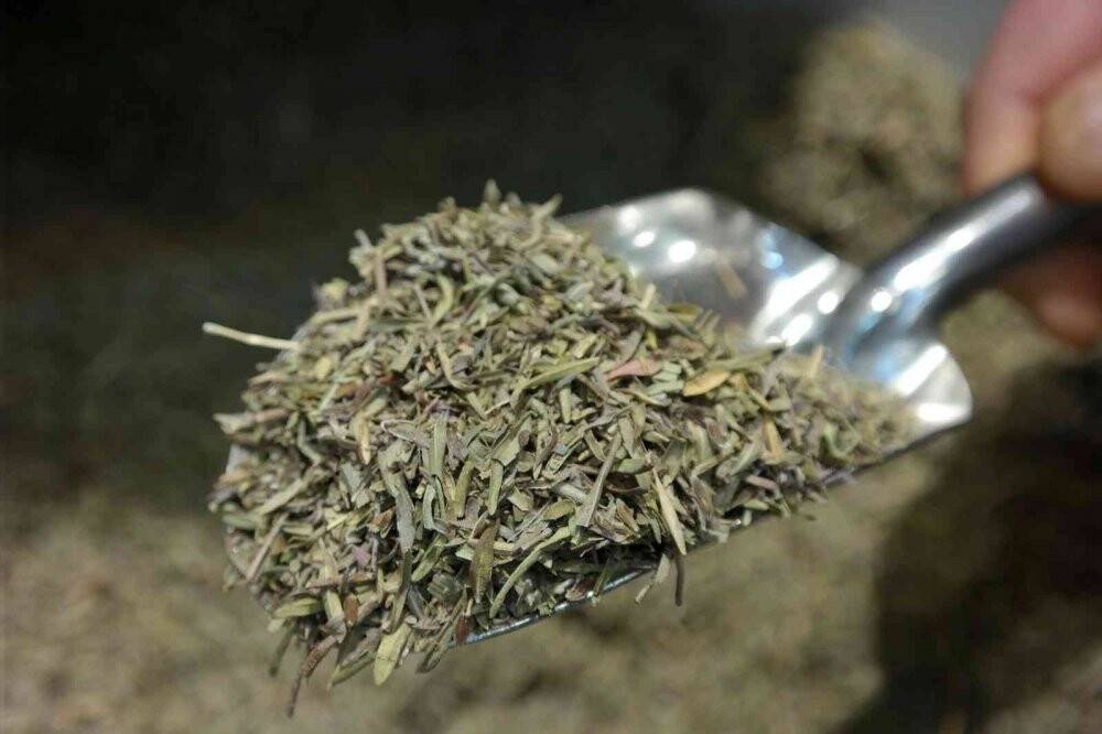 'Virüse karşı koruyucu maddesiz, doğal beslenmeliyiz'