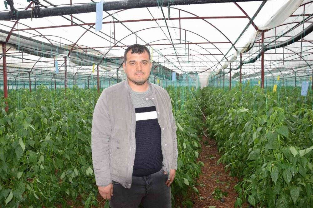 Bir saat arayla çıkan 2 hortum seralara zarar verdi