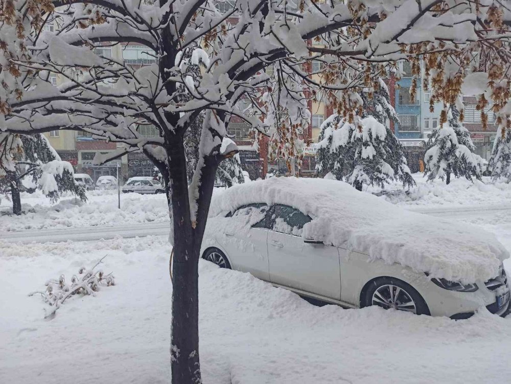 Konya’da kar bereketi