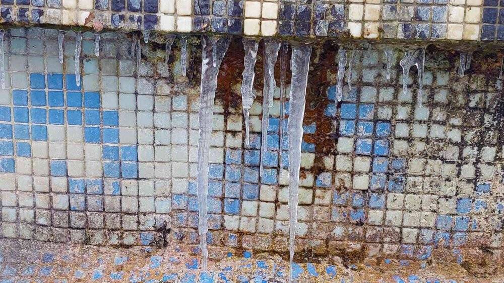 Tekirdağ’da hayat dondu