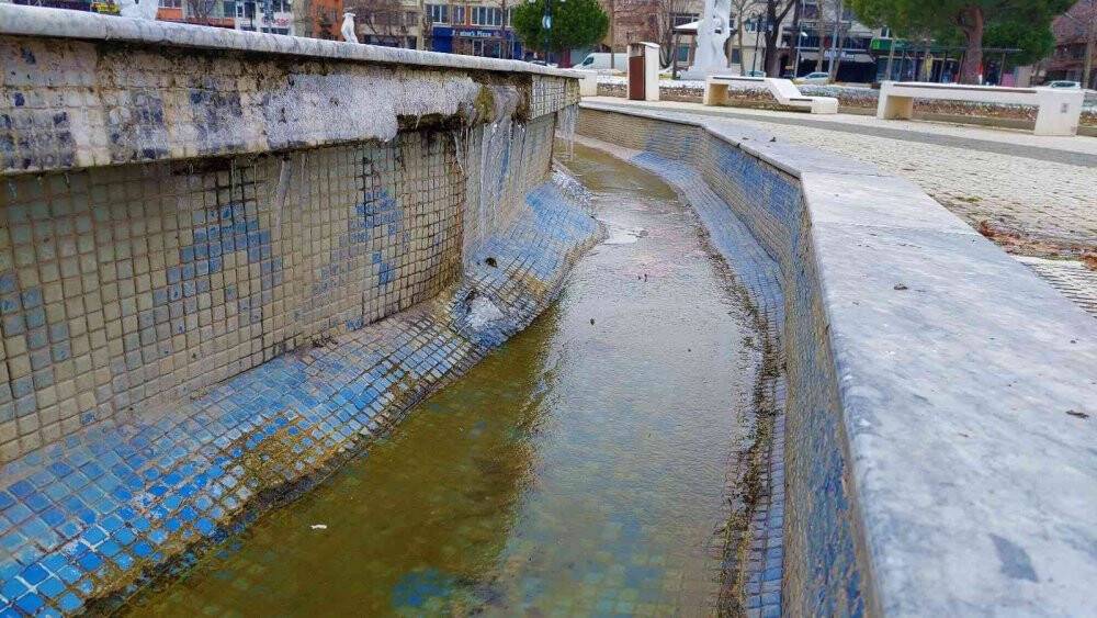 Tekirdağ’da hayat dondu