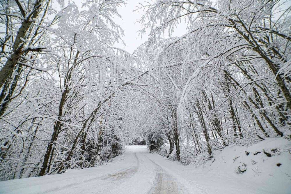 Kartpostallık kar manzaraları