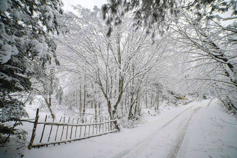 Kartpostallık kar manzaraları