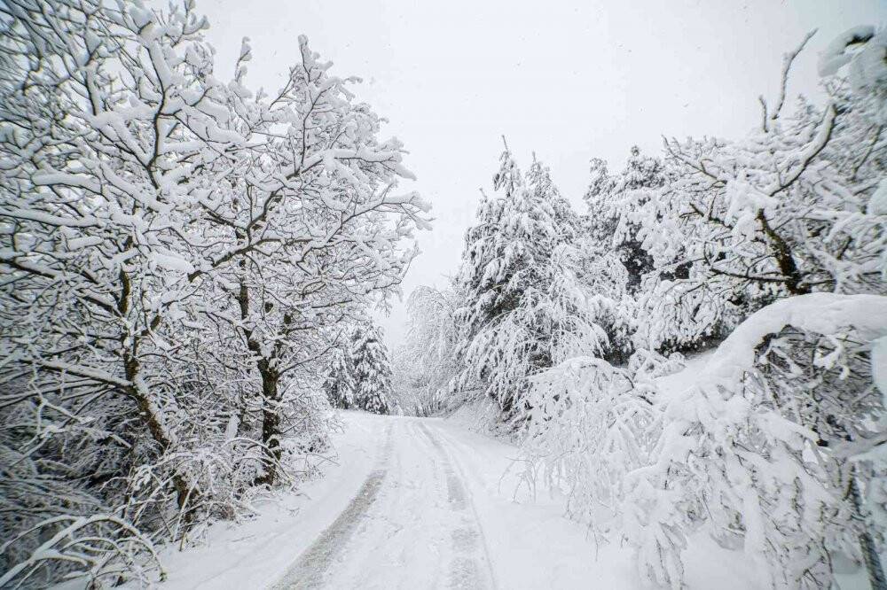 Kartpostallık kar manzaraları