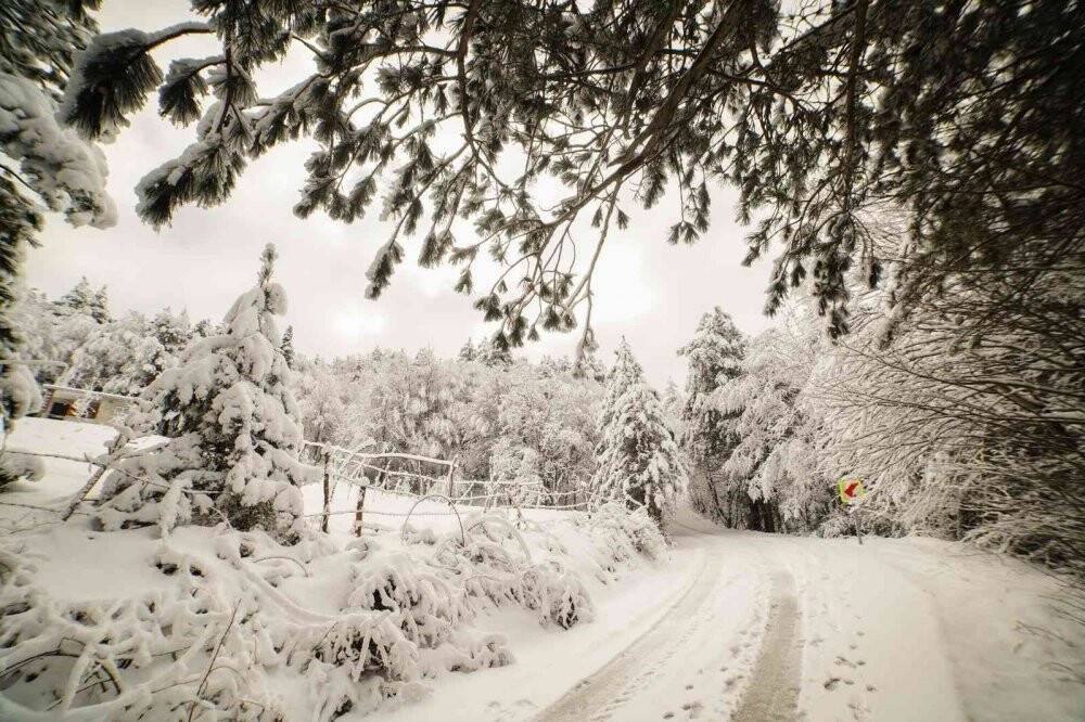 Kartpostallık kar manzaraları