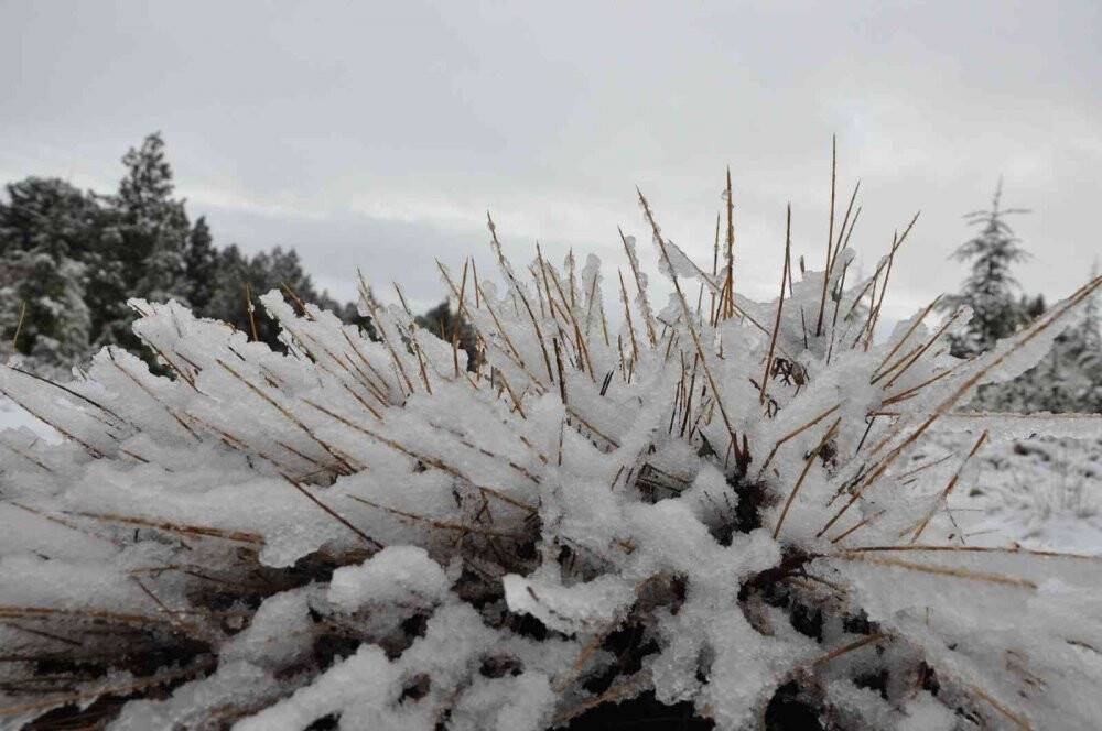 Mersinli çiftçilerin "kar" sevinci