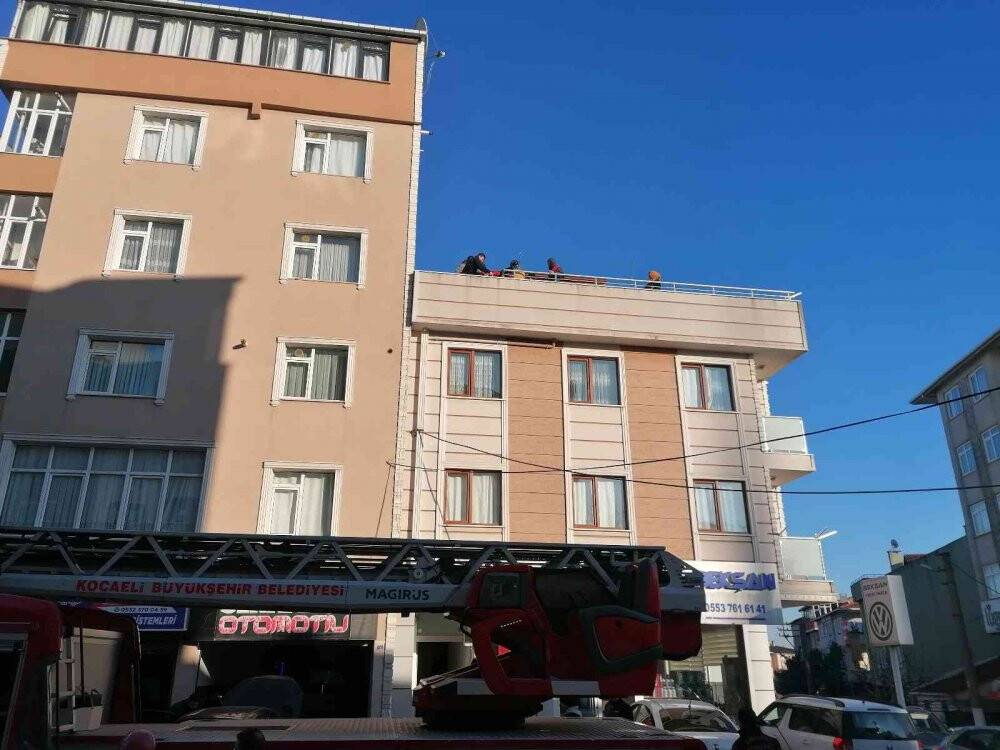5 katlı binanın çatısından düştü