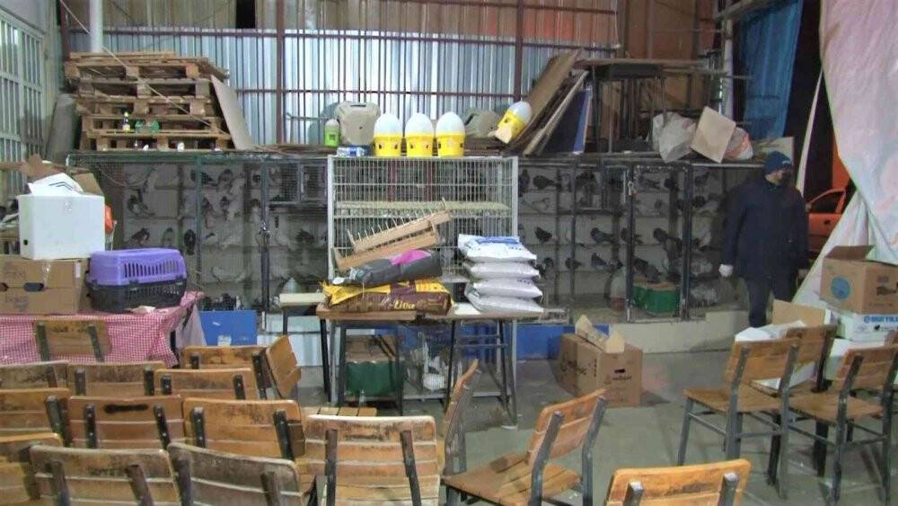 Akıl almaz kumar operasyonda 20’si çocuk 100 kişi suçüstü yakalandı