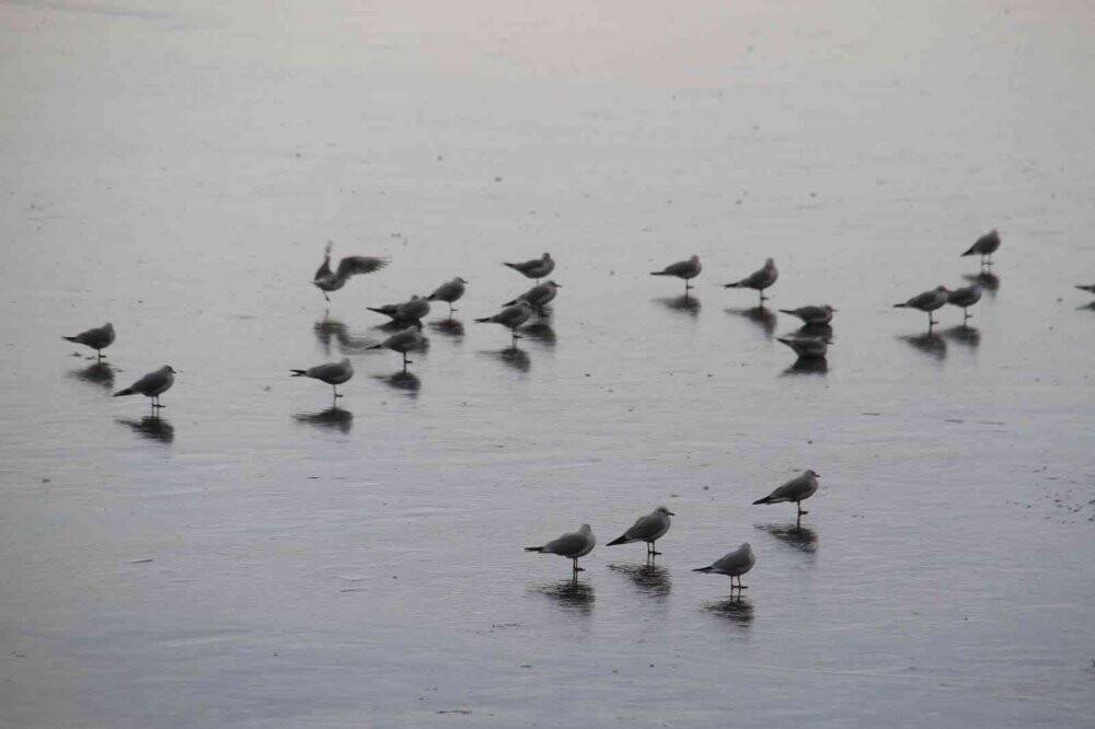 Beyşehir Gölü kıyıları buz tuttu