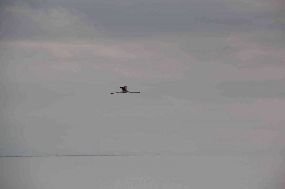 Kuş Cenneti Beyşehir Gölü’nde 2022 yılı KOSKS çalışmaları sona erdi