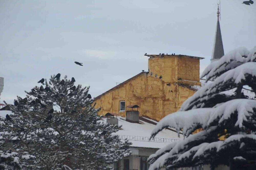 Sibirya soğuğundan etkilenen kuşlar güneşlenerek ısınmaya çalışıyor
