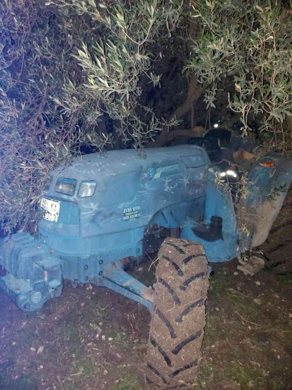 Tarlasındaki zeytin ağacı hayatına mal oldu