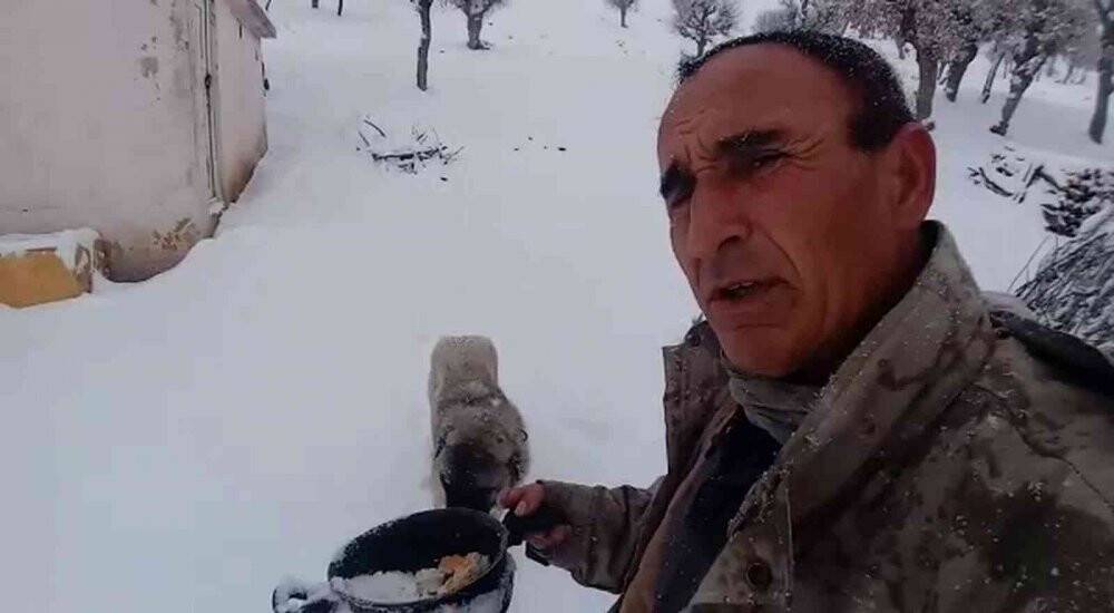 Kendi yemeğini sokak hayvanlarıyla paylaştı
