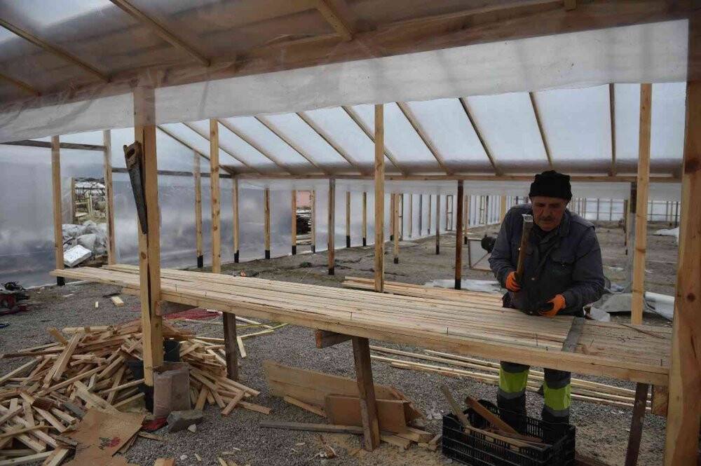 Başkentte çiçek üreticilerinin yüzü gülüyor