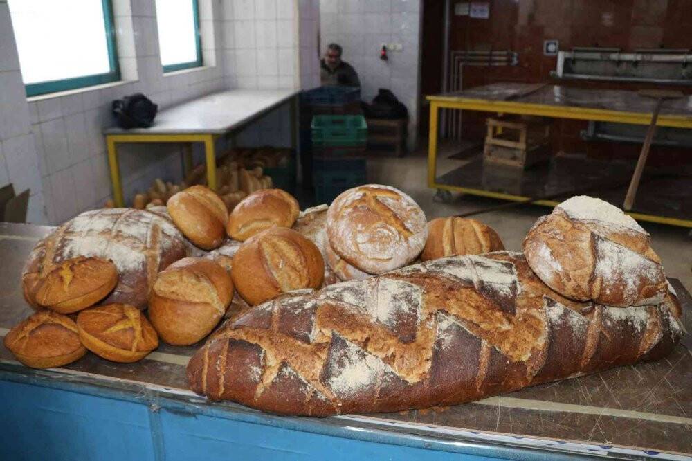 15 kiloluk balina ekmeğe yoğun ilgi