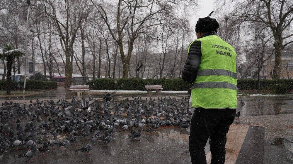 Yalova Belediyesi kar küreme ve tuzlama çalışmalarını sürdürüyor