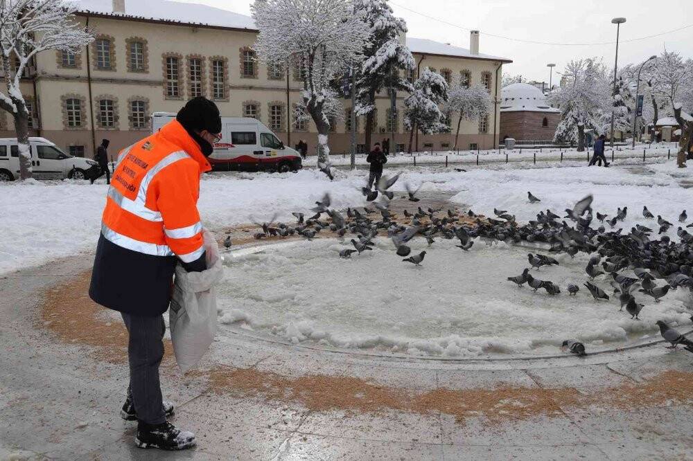 Sahipsiz hayvanlara şefkat eli