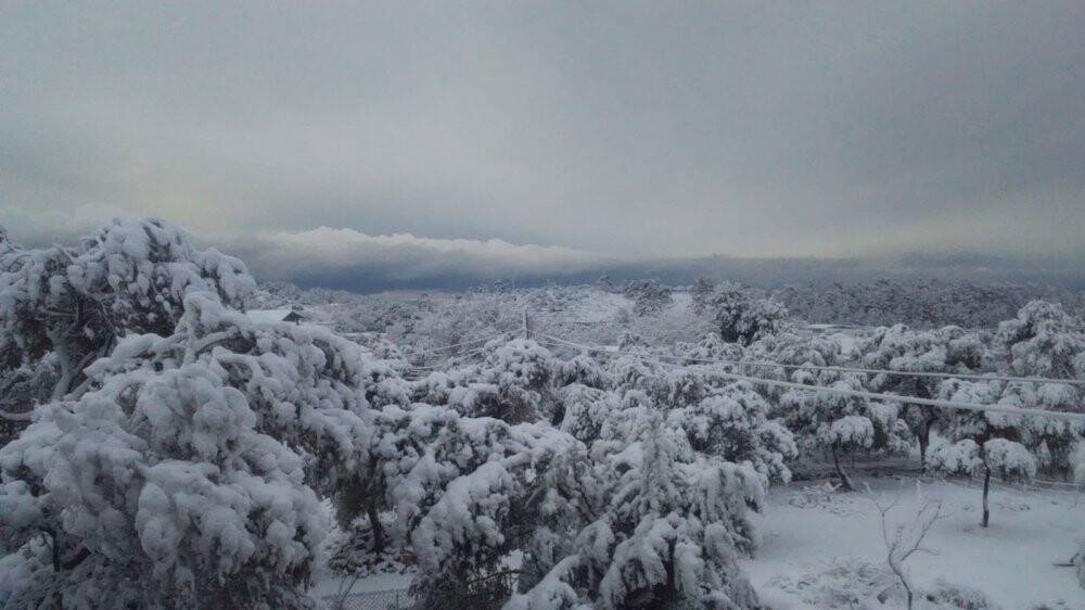 Bodrum da beyaza büründü