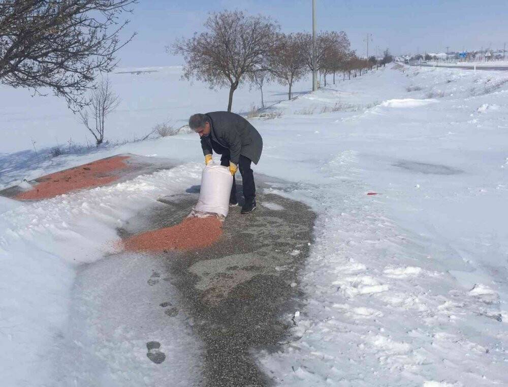 Kulu’da yaban hayvanlarına yem bırakıldı